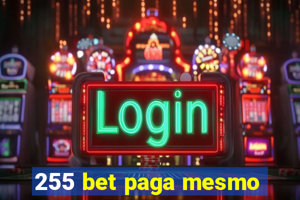 255 bet paga mesmo